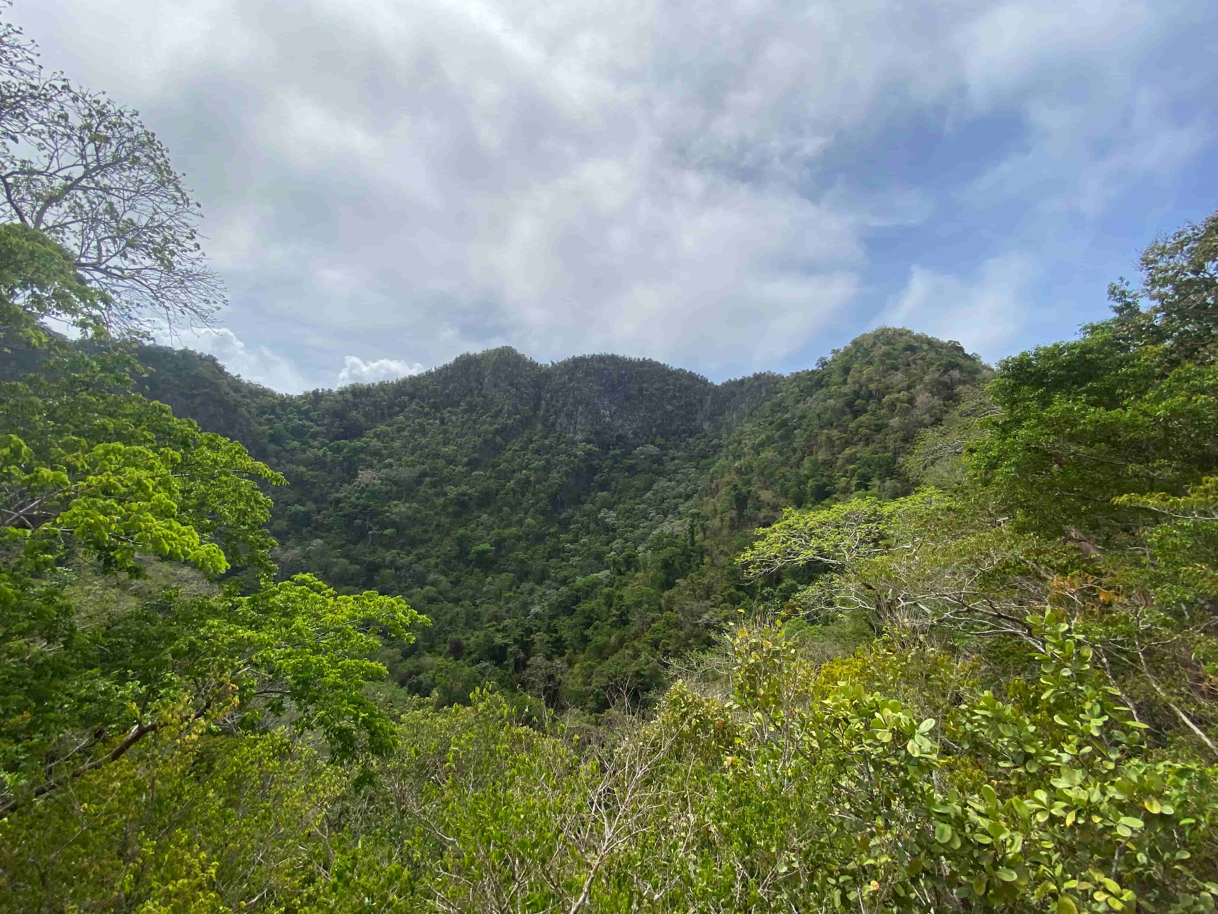 Sint Eustatius, huis kopen