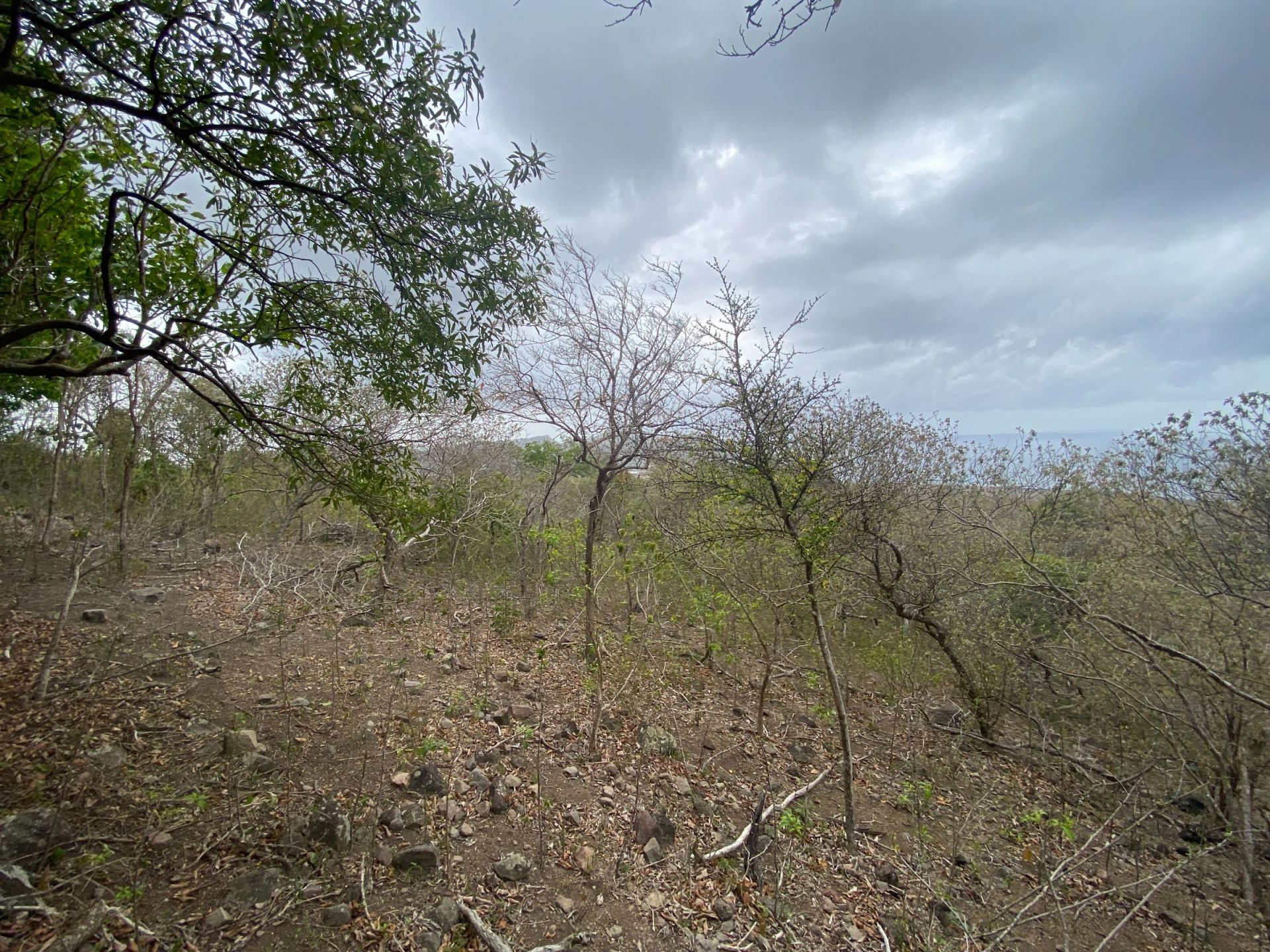 Statia C-2, foto 4 van 10