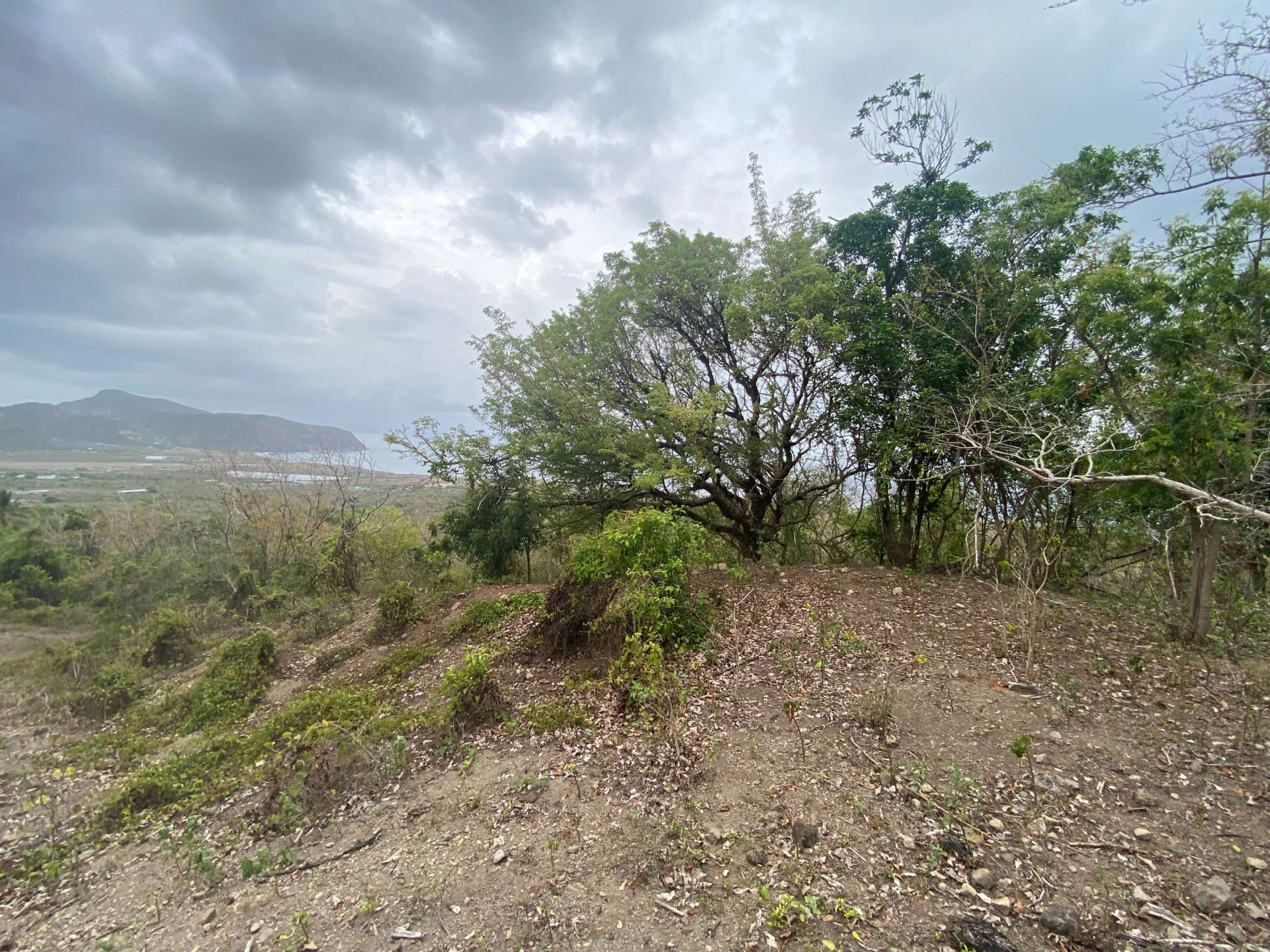 Statia C-2, foto 3 van 10