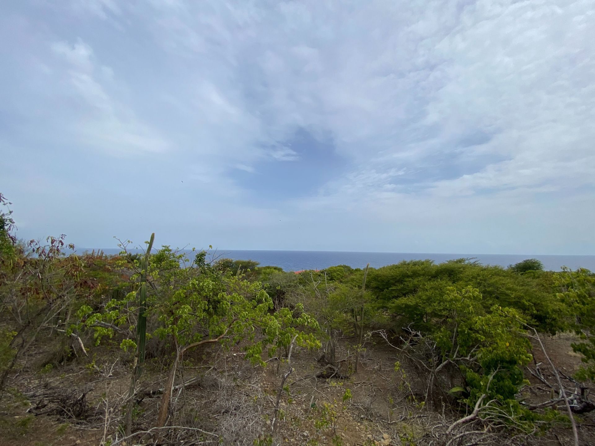 Statia C-2, foto 2 van 10