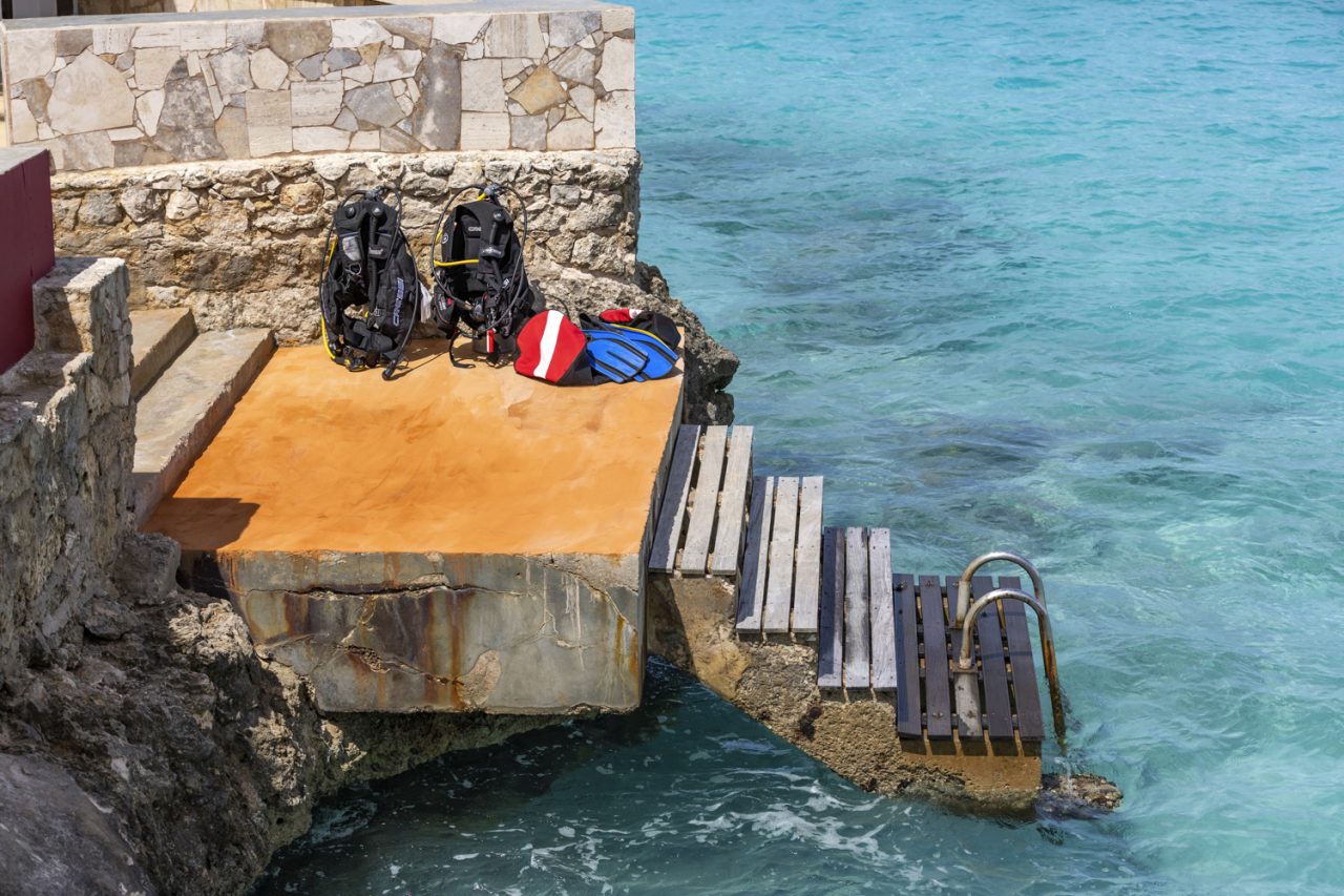 Pelicans Nest, photograph 20 of 22