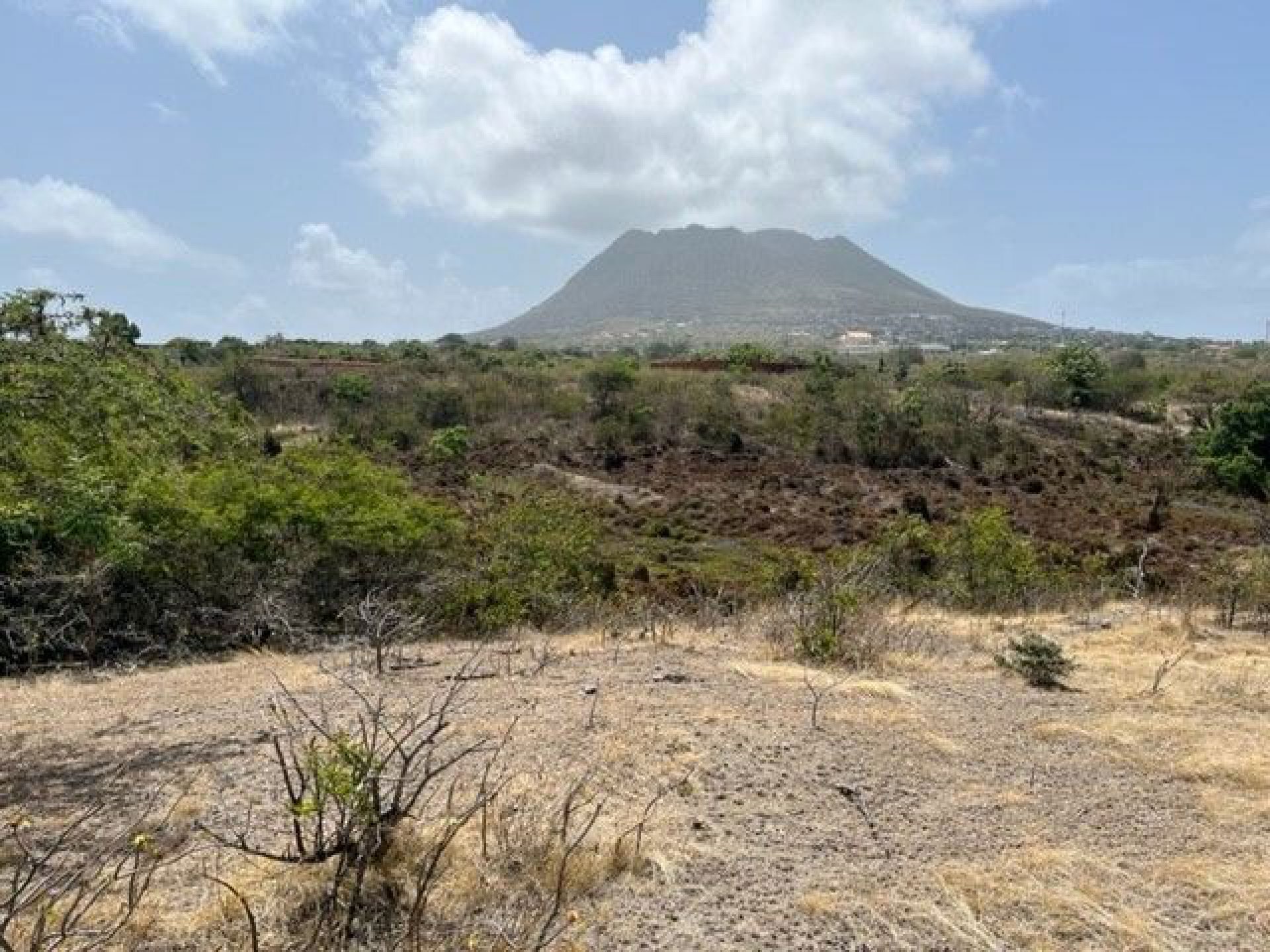 Sint Eustatius The Farm (B), foto 11 van 26