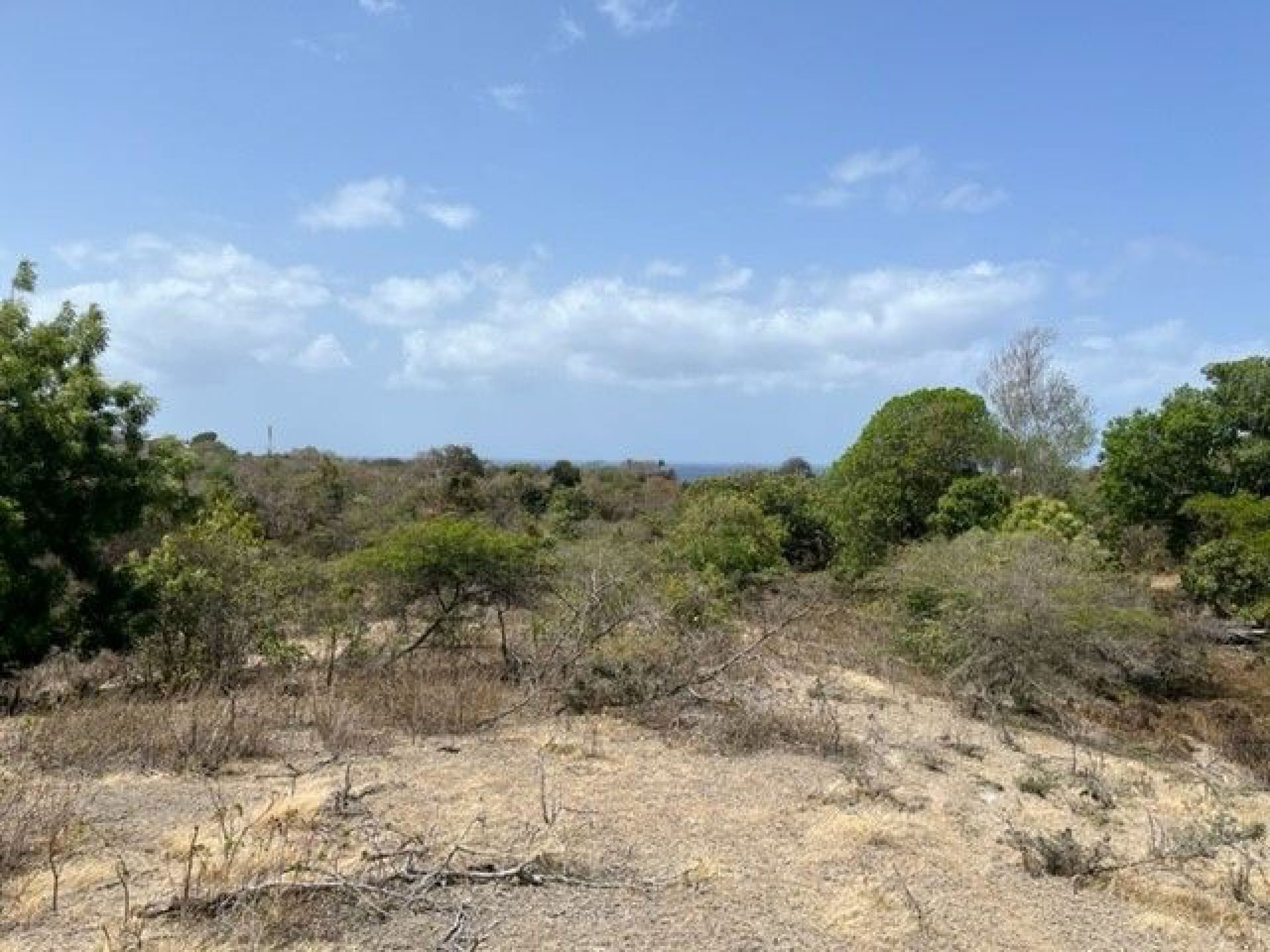 Sint Eustatius The Farm (B), foto 12 van 26
