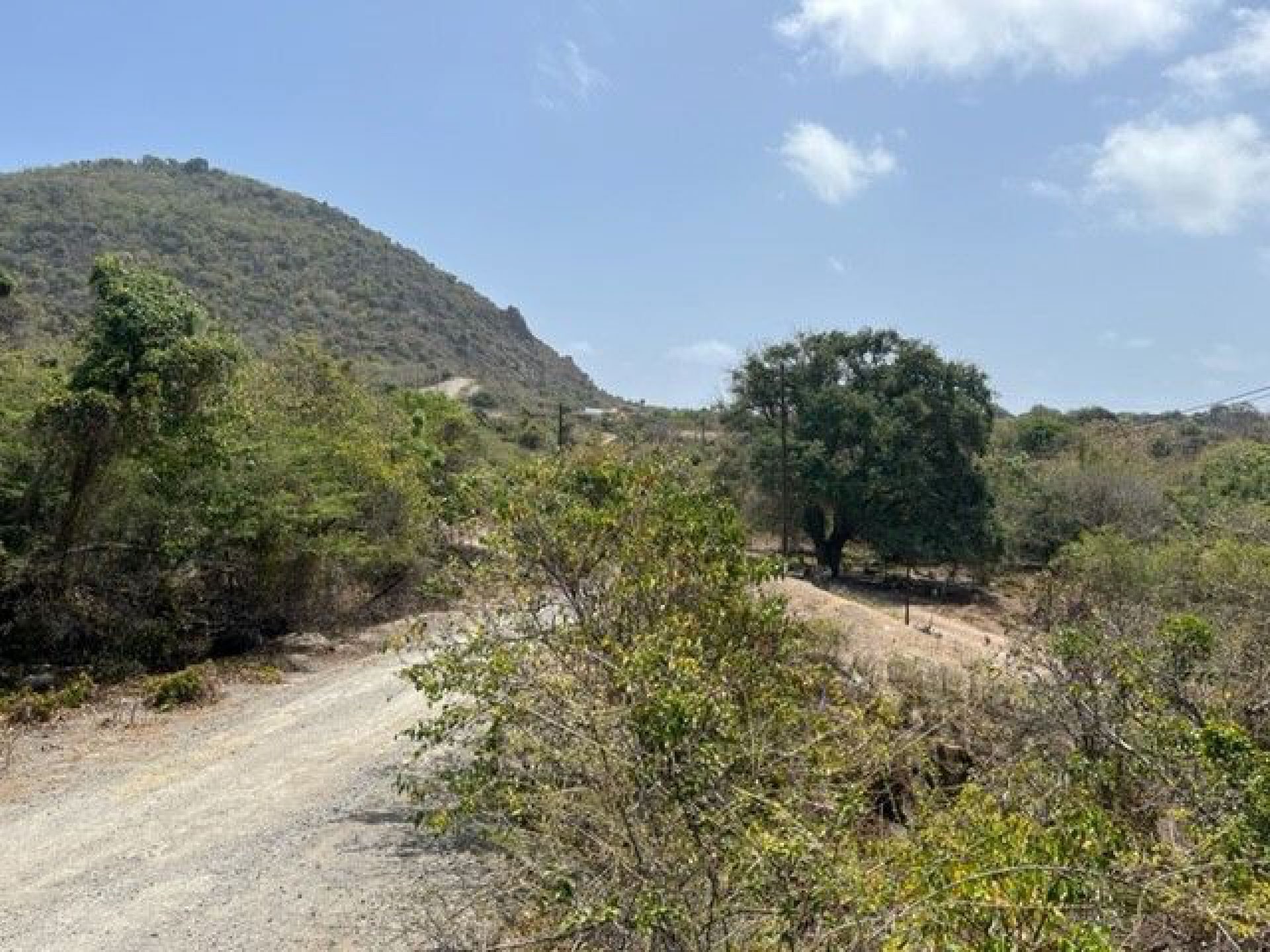 Sint Eustatius The Farm (B), foto 8 van 26