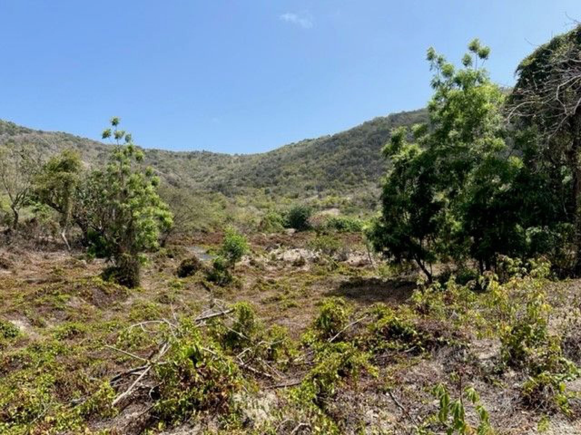 Sint Eustatius The Farm (B), foto 10 van 26