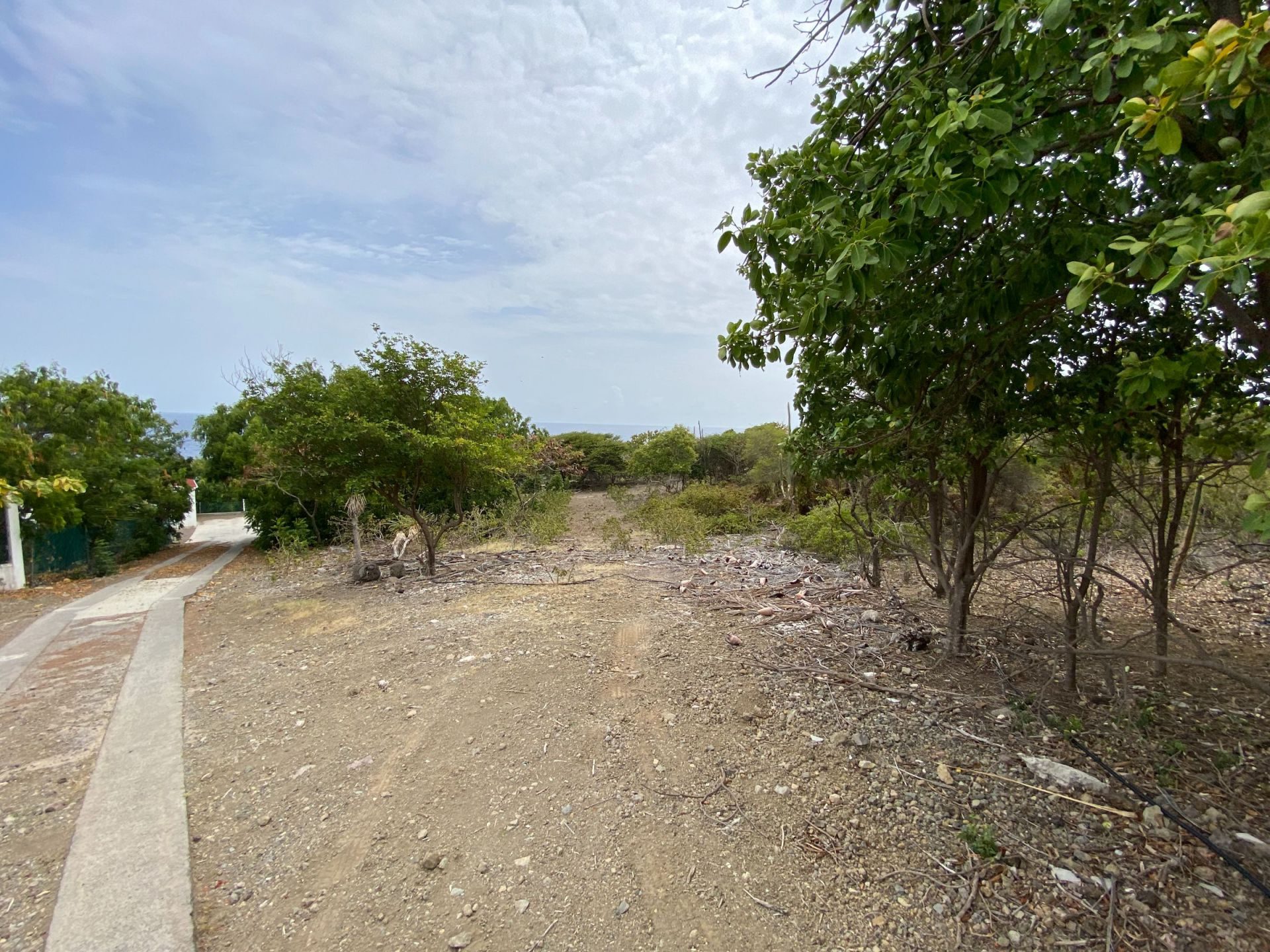 Mapou Tree Road kavel 34/1994 op St. Eustatius, foto 7 van 18