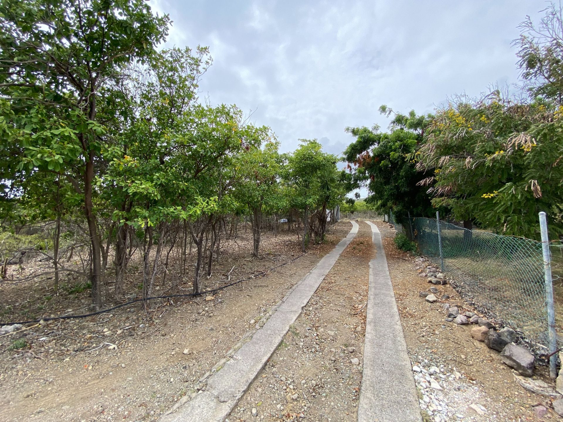 Mapou Tree Road kavel 34/1994 op St. Eustatius, foto 4 van 18