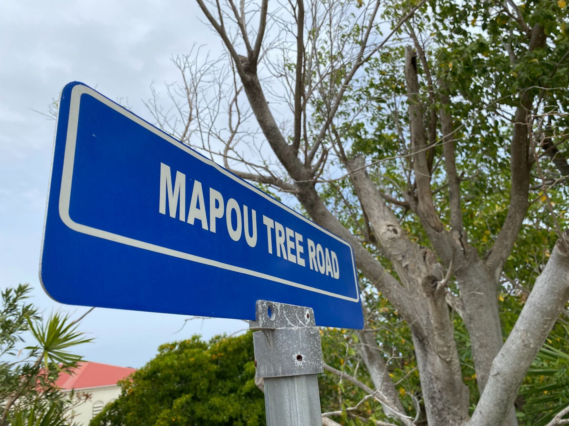 Mapou Tree Road kavel 34/1994 op St. Eustatius, foto 17 van 18