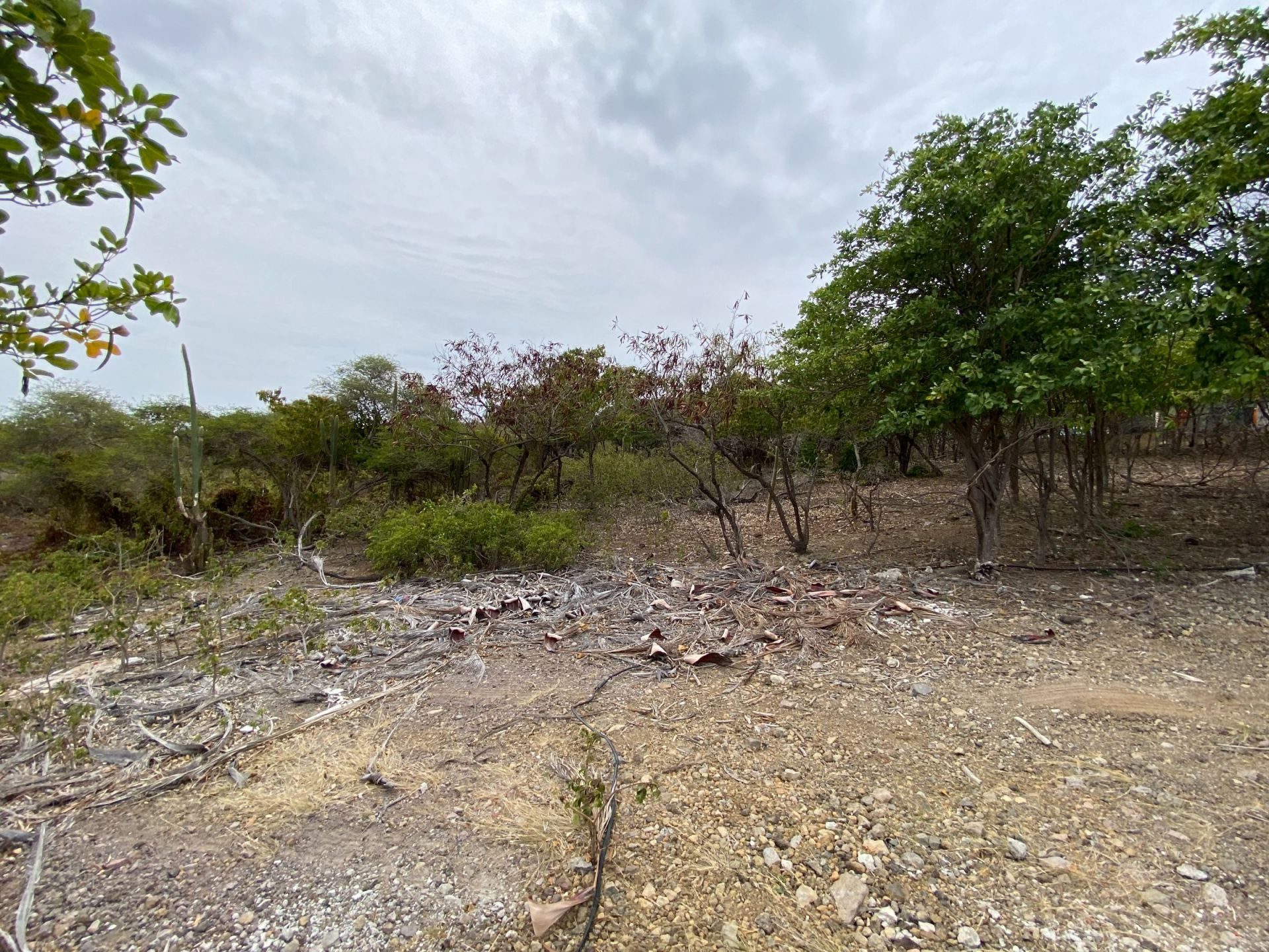 Mapou Tree Road kavel 34/1994 op St. Eustatius, foto 8 van 18