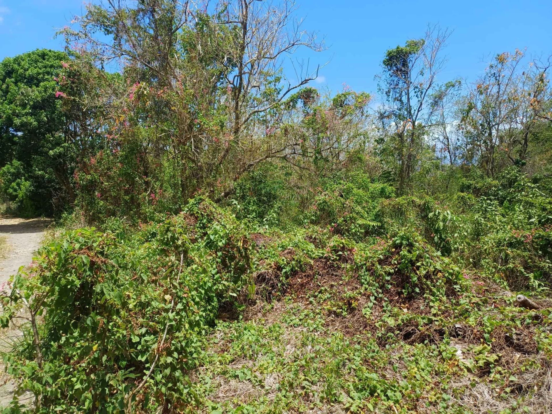 Upper Round Hill 29/1992, photograph 9 of 25