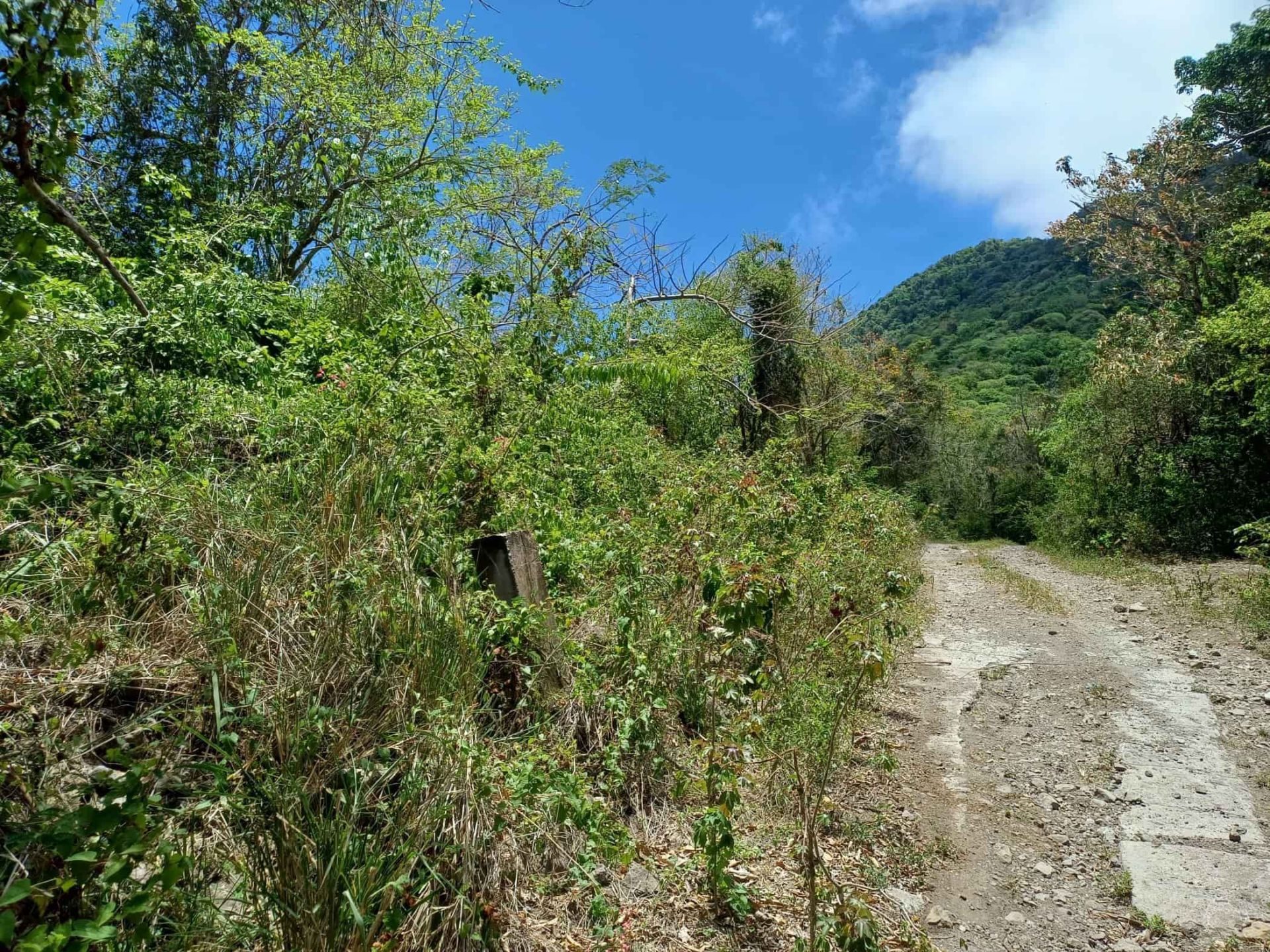 Upper Round Hill 29/1992, photograph 8 of 25