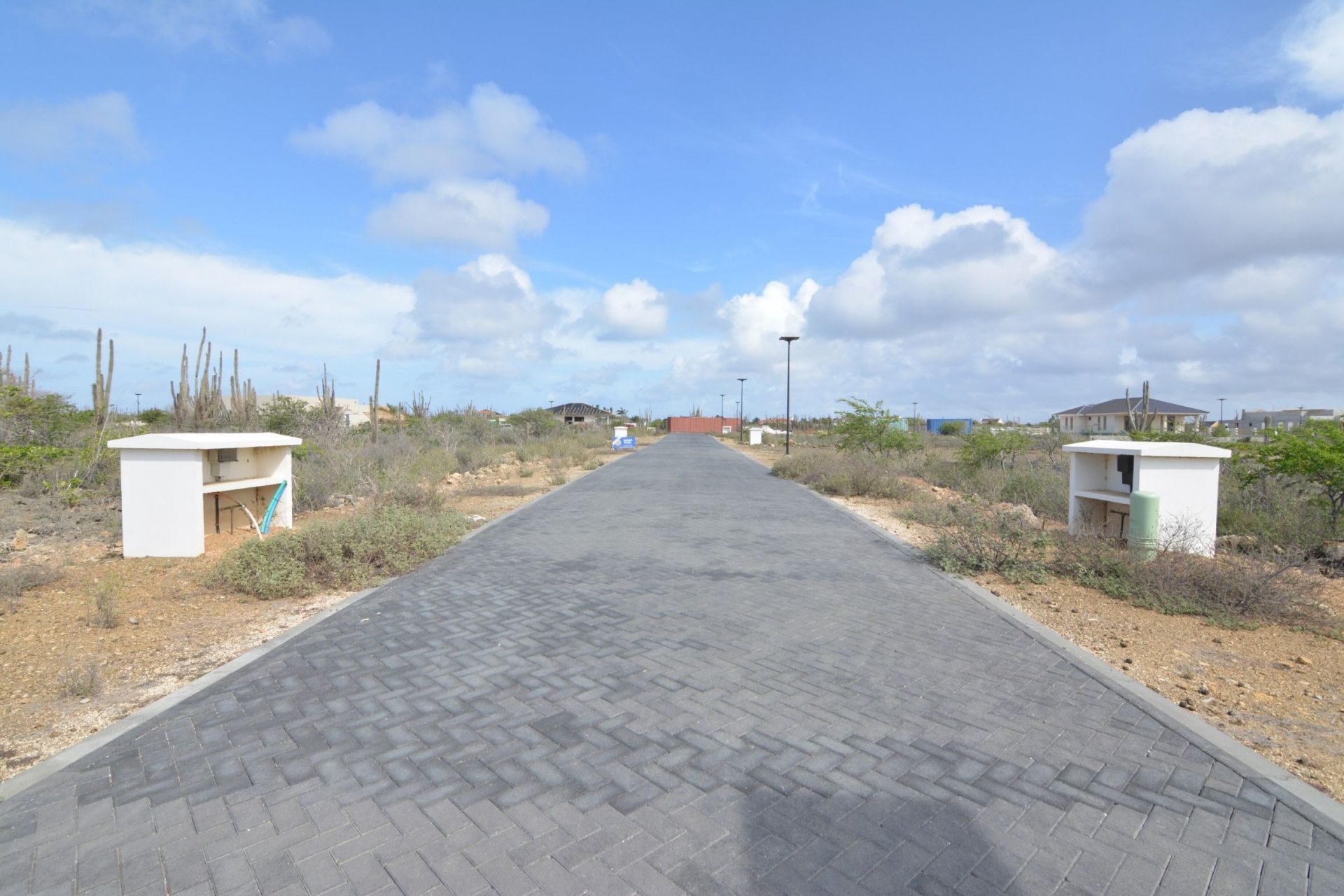 Suikerpalm 40, foto 15 van 16