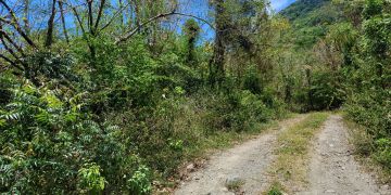 Upper Round Hill 29/1992