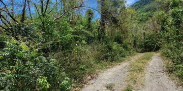 Upper Round Hill 29/1992