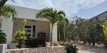 Crown Terrace 81