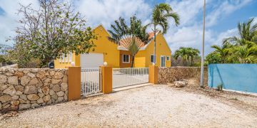 Sabal Palm 22